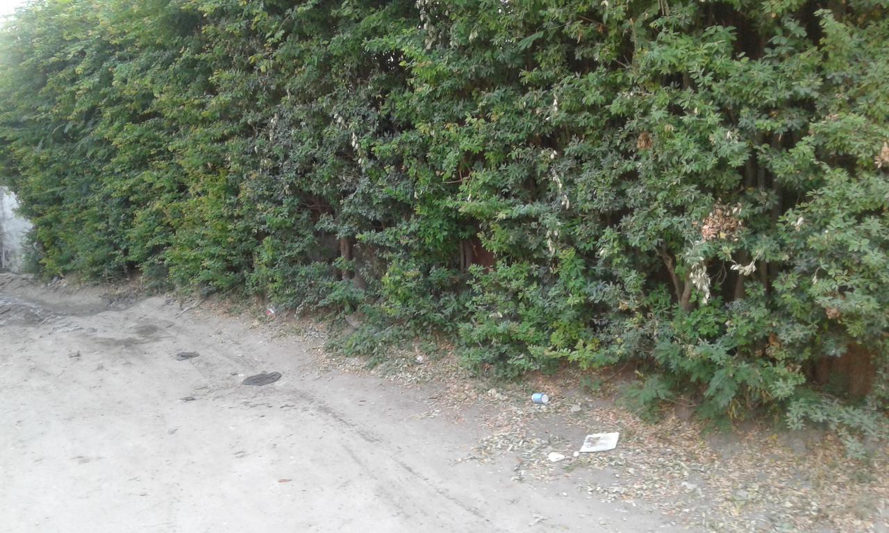 Jj & Je Family House Pansiyon Darüsselam Dış mekan fotoğraf