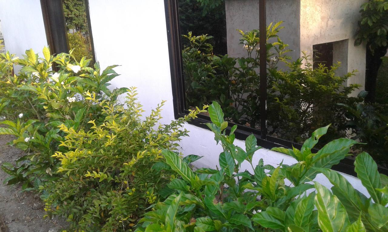 Jj & Je Family House Pansiyon Darüsselam Dış mekan fotoğraf
